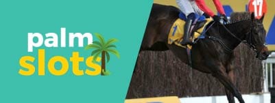 palm-slots-sports-banner