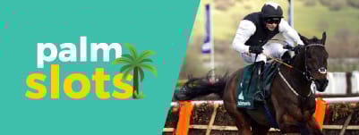 palm-slots-desktop-banner