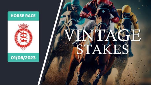 vintage-stakes-2023-banner