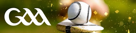 Gaa hurling team of the year