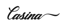 casina-casino-logo