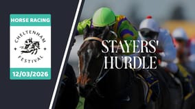 Stayers hurdle