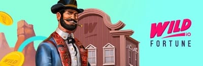 WildFortune io Casino en