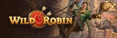 Wildrobin casino en