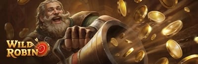 Wildrobin casino en