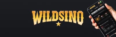 wildsino-sport-banner