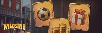 wildsino-sport-banner