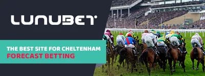 lunubet-cheltenham-desktop