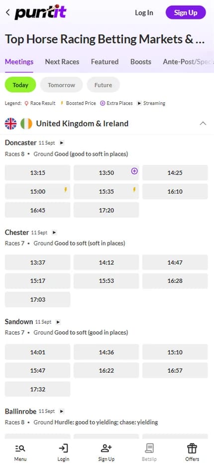 Puntit Sport horse racing markets for Irish bettors, today