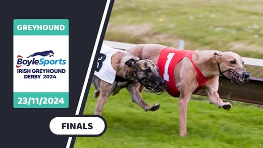 irish-greyhound-derby-2024