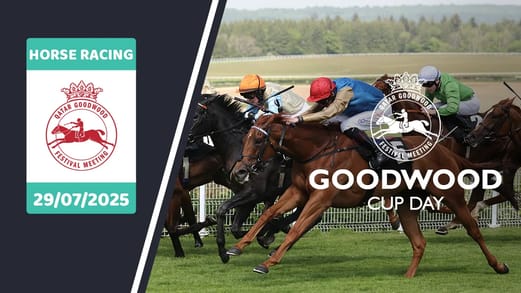 goodwood-cup-prediction-image