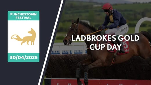 punchestown-ladbrokes-gold-cup-2025-banner