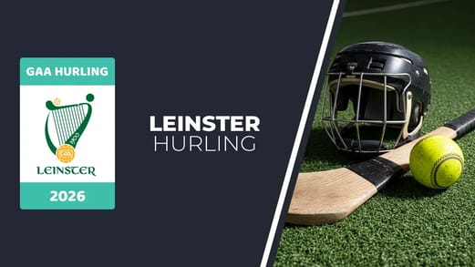Original banner featuring a hurling stick and ball next to the coat of arms of "Leinster Hurling Championship"