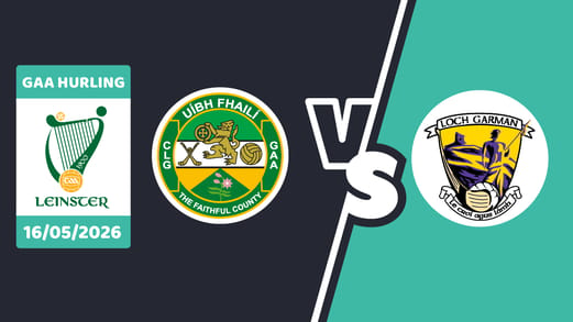 Offaly v wexford may