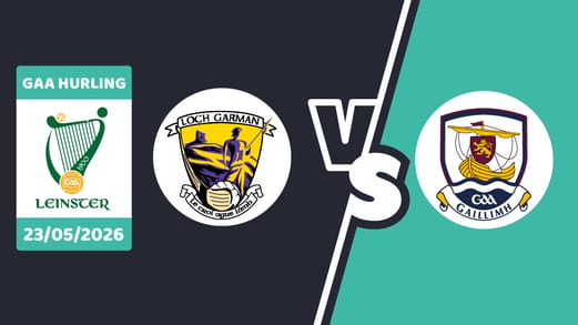 wexford-vs-galway-banner