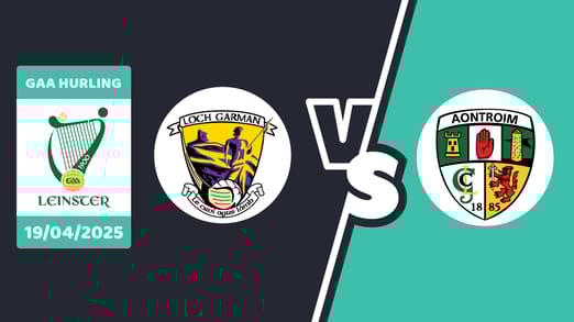 Wexford v antrim apr