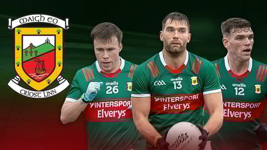 are-mayo-back-banner