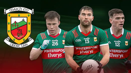 are-mayo-back-banner