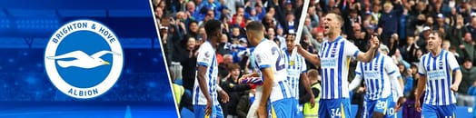 brightons-impressive-rise-in-the-premier-league-banner